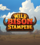 Wild Bison Stampede